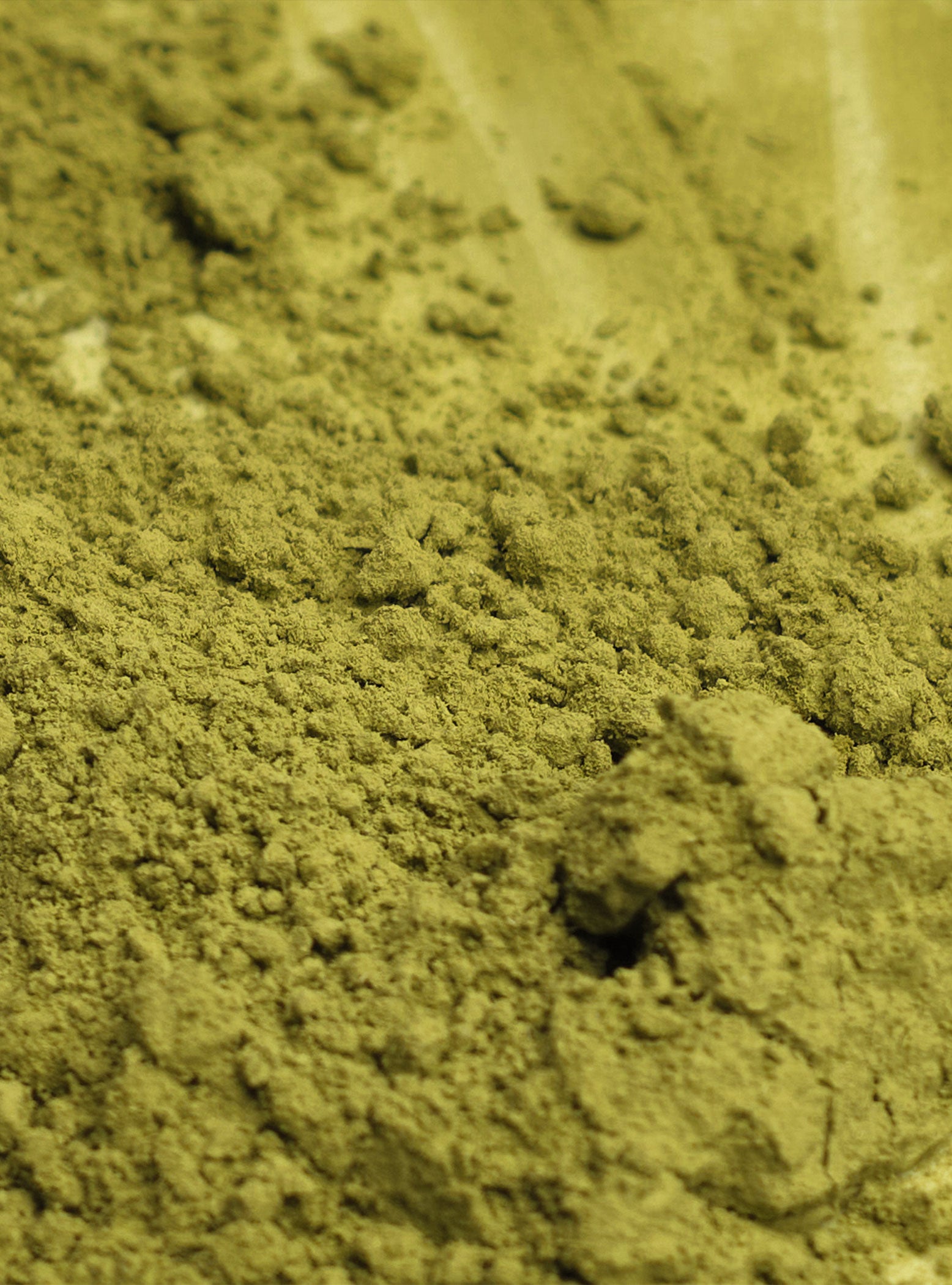 GOLDEN  MATCHA 100g