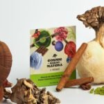 SACHET COSMIC MATCHA 8G